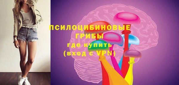apvp Кинешма