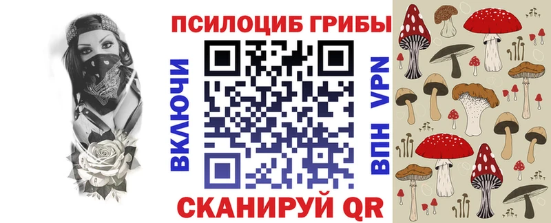 дарнет шоп kraken tor Псилоцибиновые грибы Cubensis Макушино